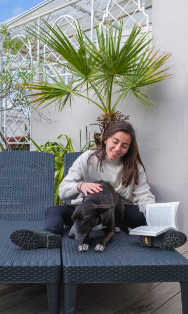 istock My dog and I 1807500905