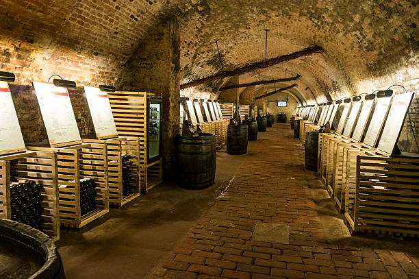 istock Wine cellar with thousands of bottles and barrels 180750299