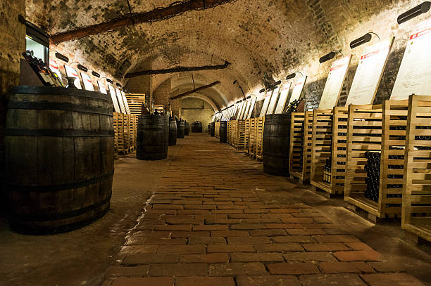 istock Wine cellar with thousands of bottles and barrels 180750558