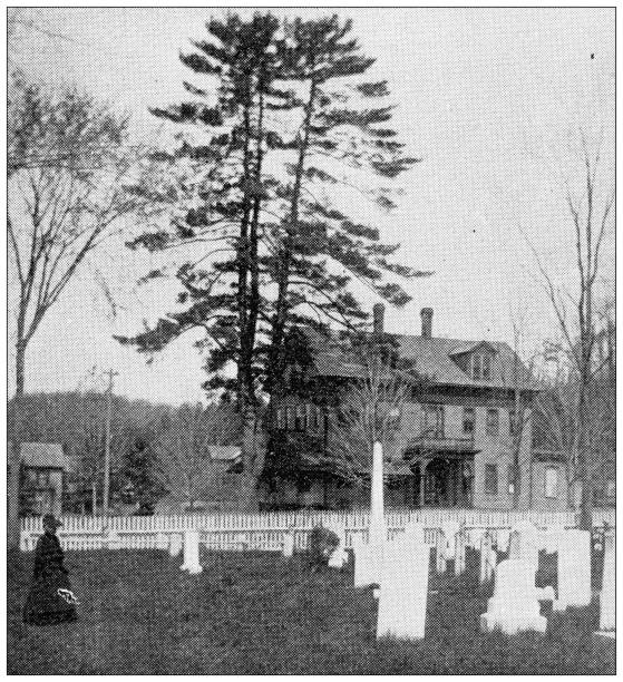 istock Antique image of Hampden County, Massachusetts: Historic Pine Tree, Palmer 1807508128
