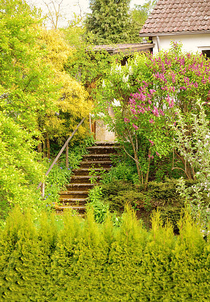 istock Stairs from house to garden 180752403