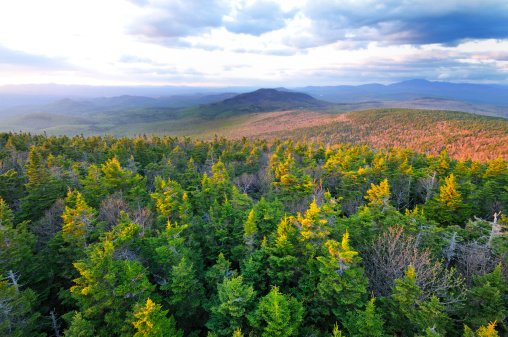 Northernly view from the summit fire tower on Smarts Mountain -- one of the 52-With-A-View list --  located in Hanover, New Hampshire. This was taken during sunset (we had a 3.5 mile hike out still to do but totally worth it).