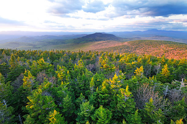 Smarts Mountain, View North Northernly view from the summit fire tower on Smarts Mountain -- one of the 52-With-A-View list --  located in Hanover, New Hampshire. This was taken during sunset (we had a 3.5 mile hike out still to do but totally worth it). new hampshire stock pictures, royalty-free photos & images