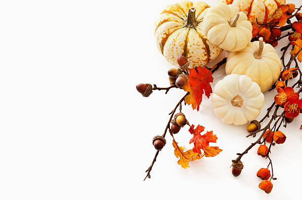 gourds y hojas de otoño - squash flower plant single flower fotografías e imágenes de stock