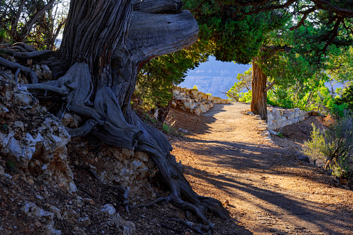 Bright Angel Point Trailhead at Grand Canyon North Rim