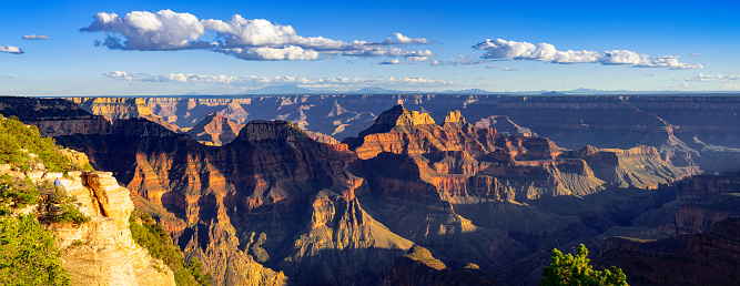 North Rim of Grand Canyon National Park in warm evening light