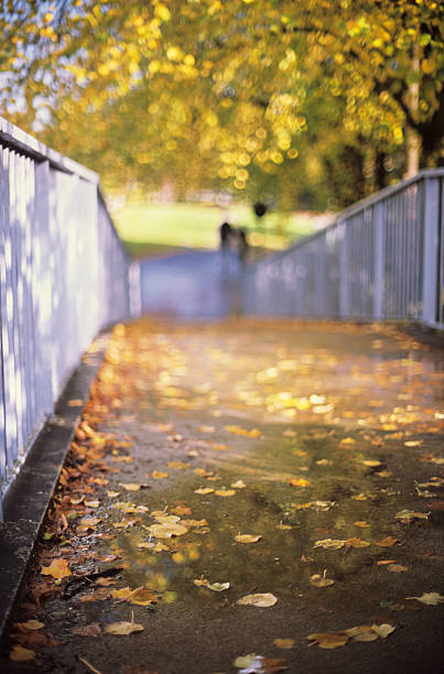 istock Autumn footpath on a bridge - Sunny day, bokeh background 180753415