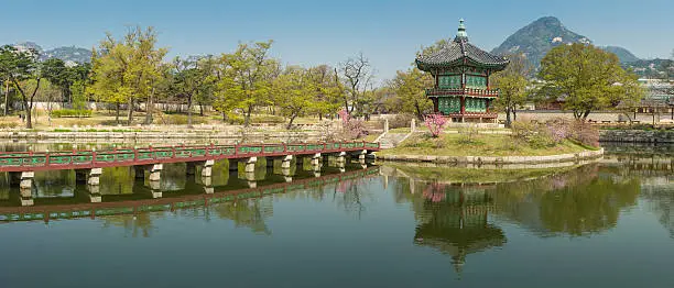 "Pink cherry blossom and vibrant green spring foliage around the ornate pagoda eaves of the Hyangwonjeong pavilion reflecting in the still lake waters in Gyeongbokgung palace in the heart of downtown Seoul, South Korea. ProPhoto RGB profile for maximum color fidelity and gamut."