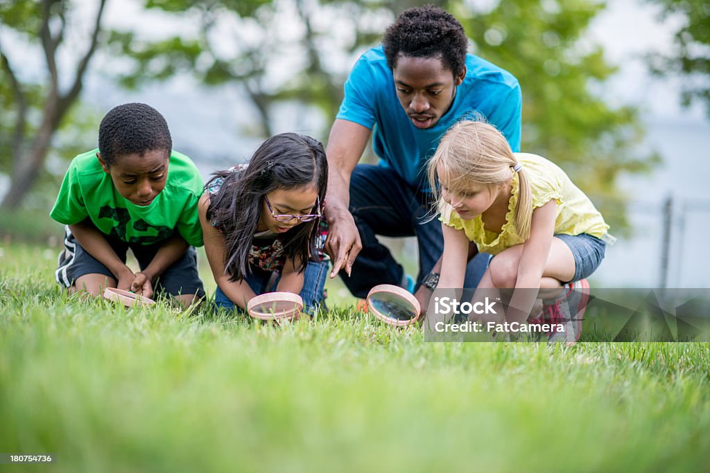 Kids at Day Camp Diverse group of day camp kids with counselor looking for bugs. Camp Counselor Stock Photo