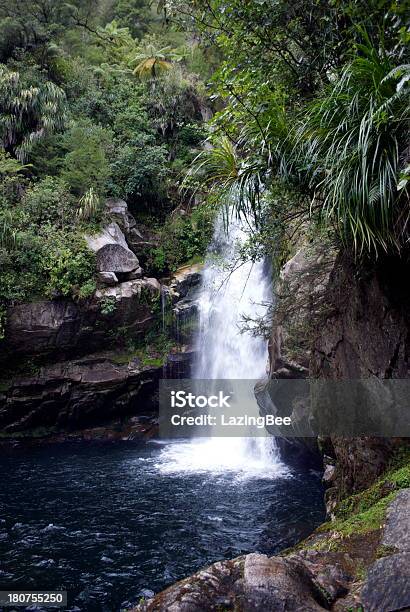 Photo libre de droit de Wainui Falls Golden Bay Nouvellezélande banque d'images et plus d'images libres de droit de Nouvelle-Zélande - Nouvelle-Zélande, Parc National Abel Tasman, Asie australe