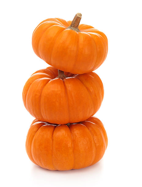 Three Pumpkins Three pumpkins on white. miniature pumpkin stock pictures, royalty-free photos & images