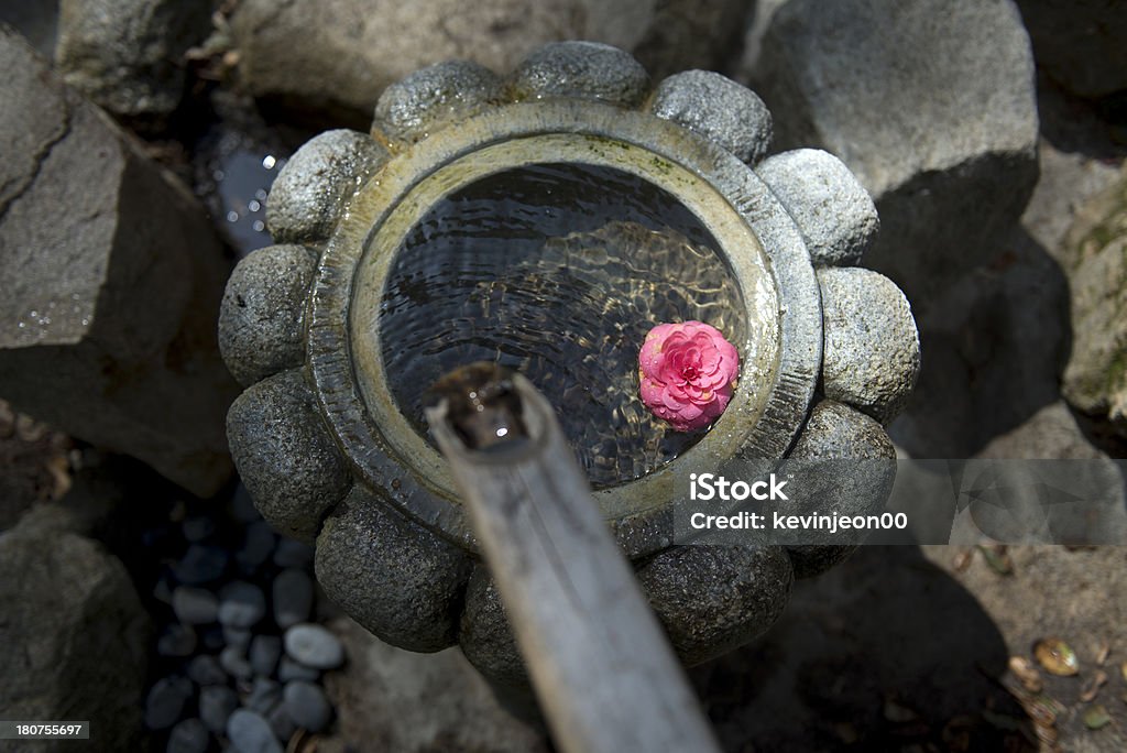 Fountain - Lizenzfrei Blume Stock-Foto