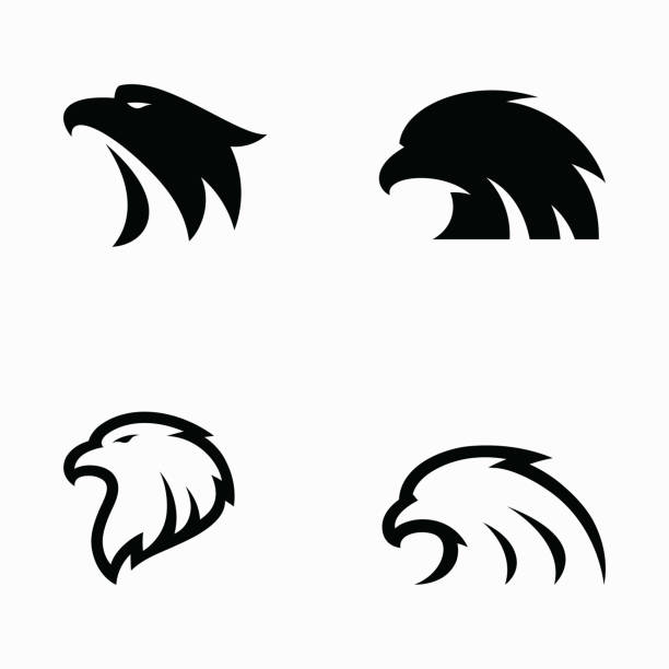 Eagle head simple vector logo design Eagle head simple vector logo design eagle stock illustrations