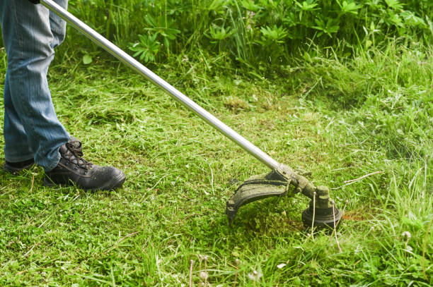 istock the mower mows the grass. High quality photo 1807560746