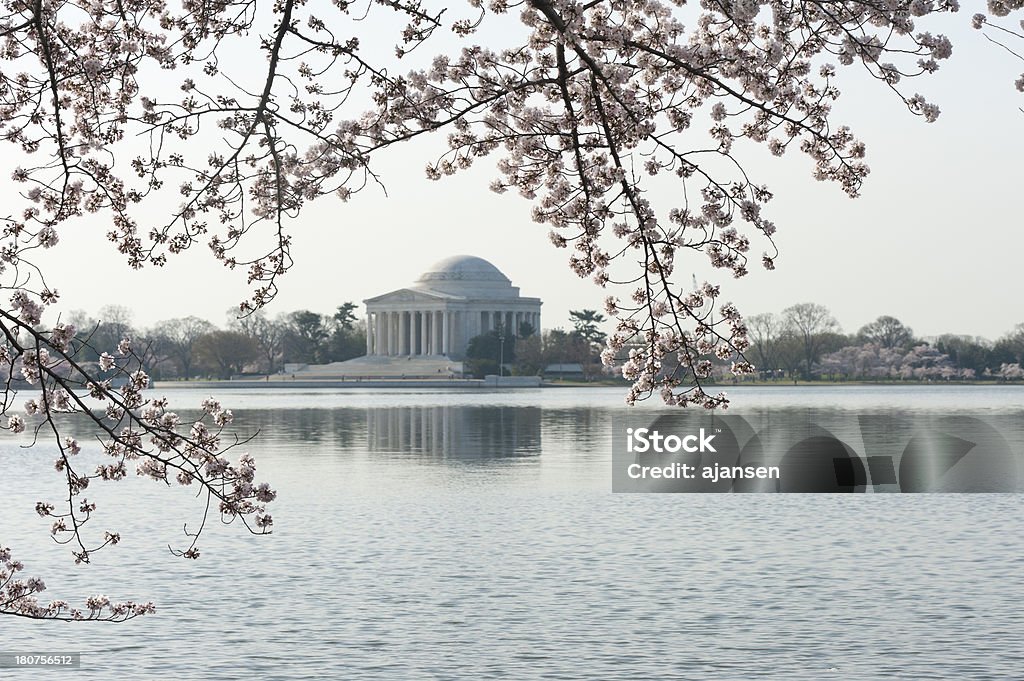 벚꽃, 제퍼슨 기념관 초점 밖으로 - 로열티 프리 0명 스톡 사진