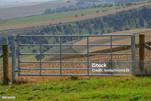 Colinas De South Downs Foto de stock y más banco de imágenes de Agricultura - Agricultura, Aire libre, Belleza de la naturaleza