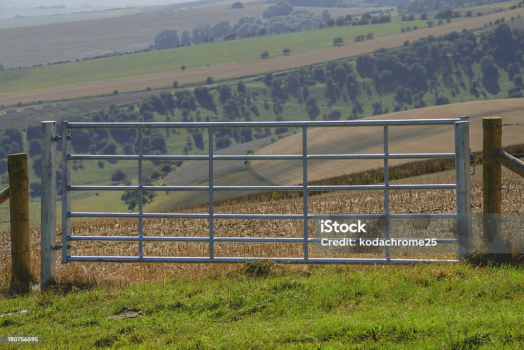 south downs - Royalty-free Agricultura Foto de stock