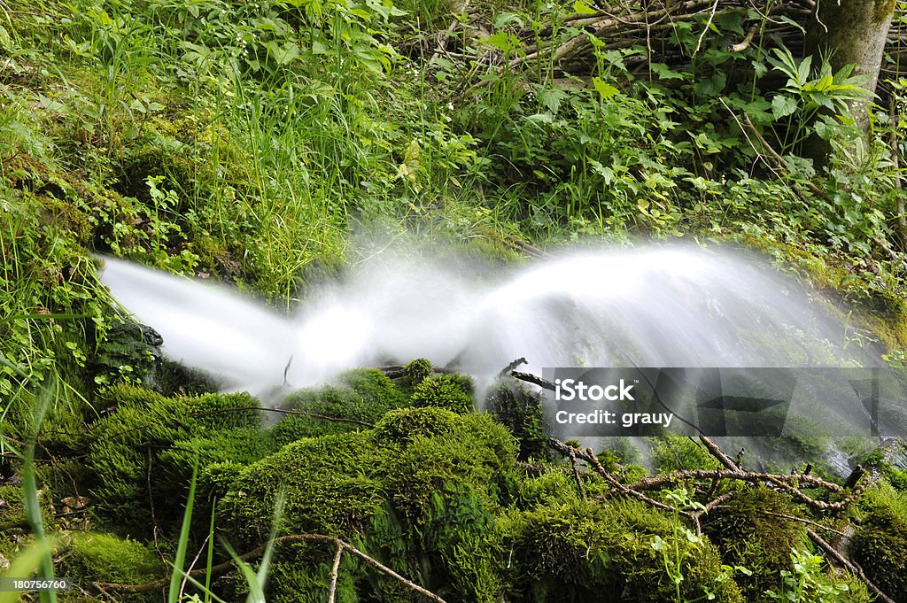 De água primavera - Foto de stock de Cantão de Vaud royalty-free