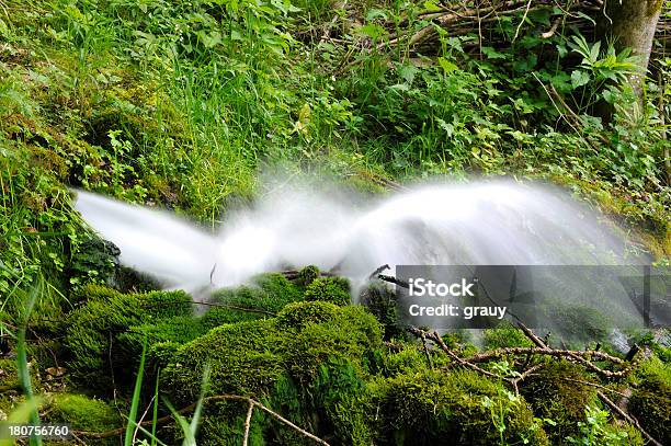 Foto de De Água Primavera e mais fotos de stock de Cantão de Vaud - Cantão de Vaud, Exterior, Flora