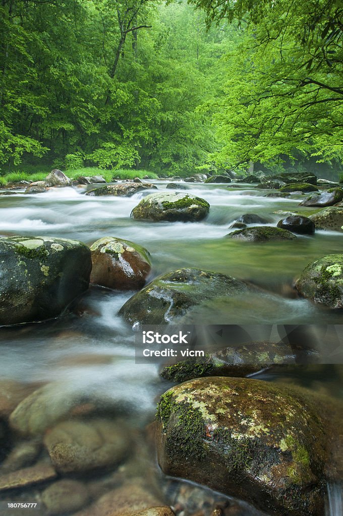 Smokey Mountain Stream spring in the smokey mountains Blurred Motion Stock Photo