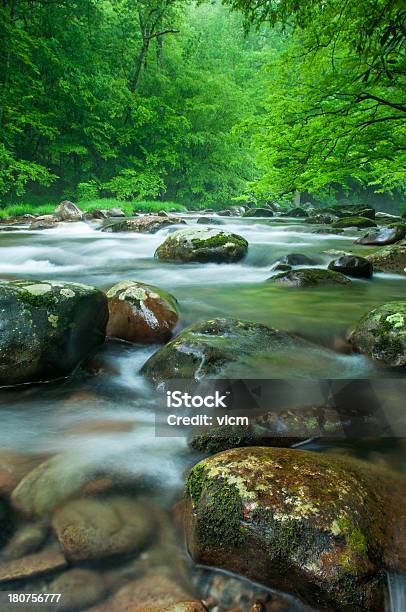 Smokey Mountain Stream Stock Photo - Download Image Now - Blurred Motion, Color Image, Day