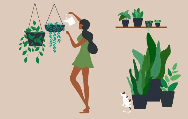 Vector illustration of Happy woman watering houseplants at home vector illustration.. Hobby, stay home, lifestyle, home garden and houseplants concept