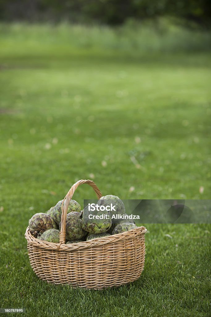 Cesta llena de artichokes vertical - Foto de stock de Hierba - Pasto libre de derechos