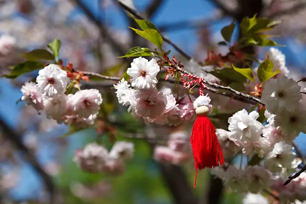 Photo of Bulgarian Martenitsa