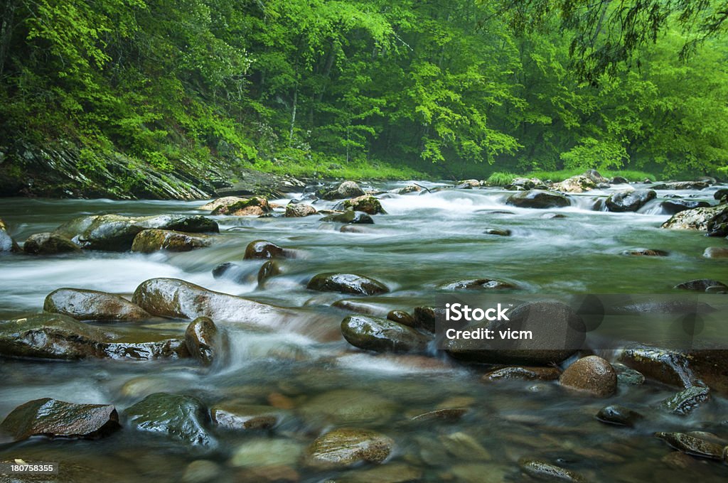 Primavera en el Smokey's - Foto de stock de Agua libre de derechos