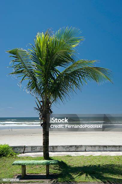 Bank Und Strand Stockfoto und mehr Bilder von Baum - Baum, Brasilien, Bundesstaat São Paulo