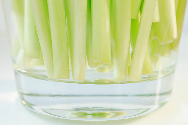 tulip stems in a glass vase