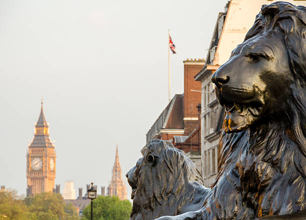 Two Lions in Trafalgar Square with Big Ben stock photo