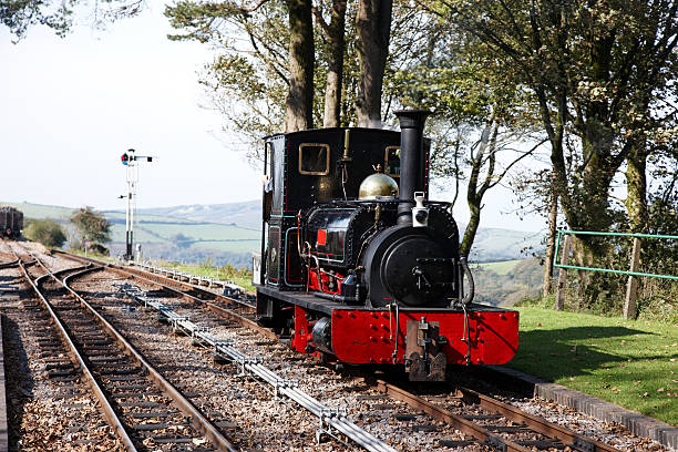 istock Narrow gauge steam train 180759674