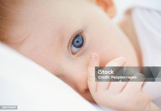 Eine Solche Großartigen Welt Stockfoto und mehr Bilder von Daumenlutschen - Daumenlutschen, Baby, Kind