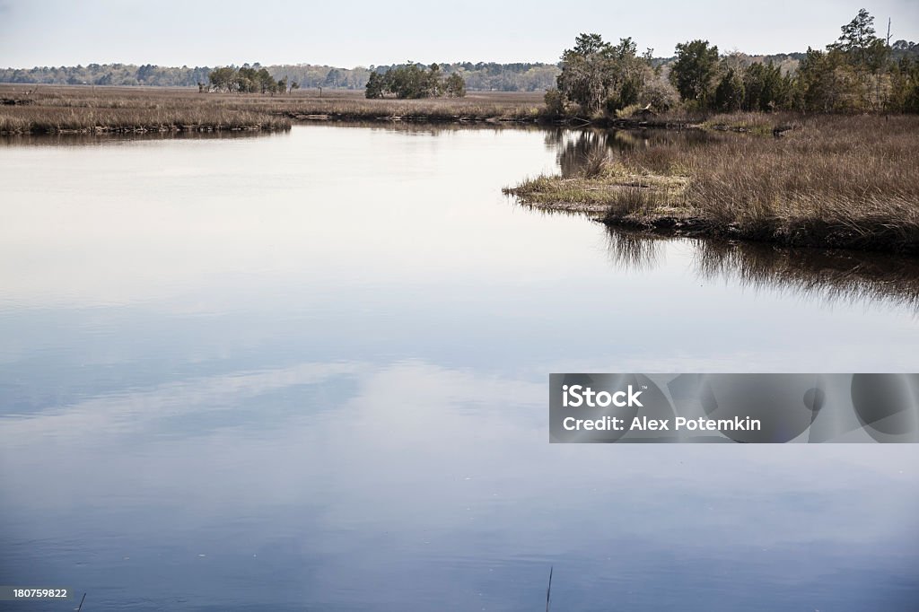 Spring auf die Überschwemmung Coosawatchie River in South Carolina, USA - Lizenzfrei Baum Stock-Foto