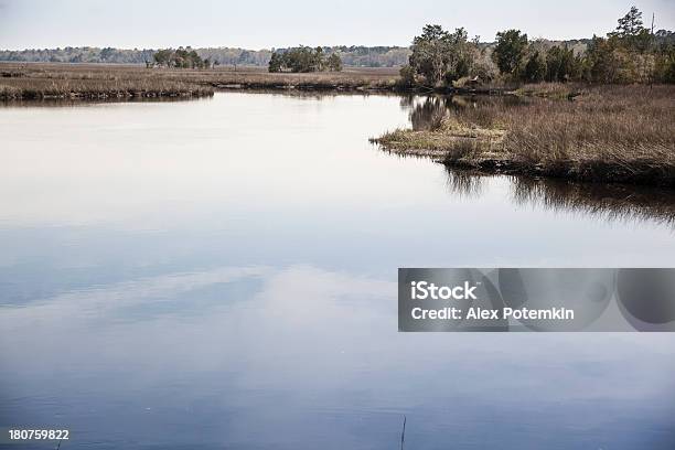 Spring Auf Die Überschwemmung Coosawatchie River In South Carolina Usa Stockfoto und mehr Bilder von Baum