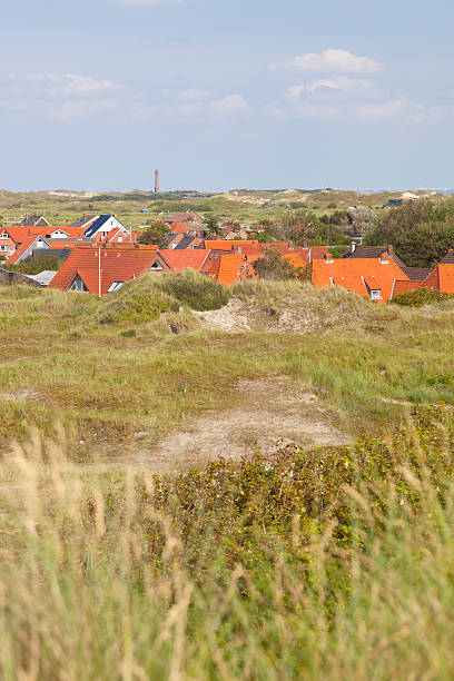 istock Houses In The Dunes, Norderney 180759965