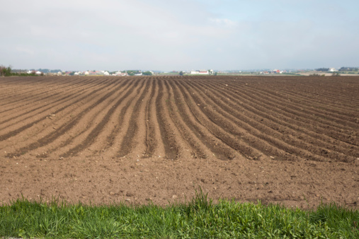 Plowed field ready for the planting