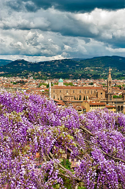 istock Florentine Landscape In A Cloudy Day.Color Image 180760377