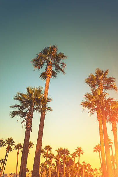 istock Sunset strip in los angeles 180760503