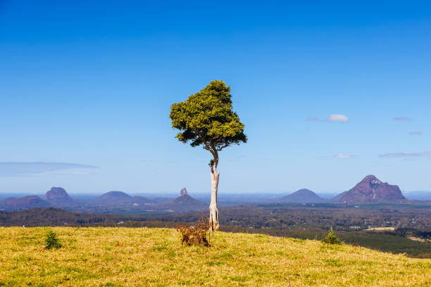 A view across the Glass House Mountains National Park from One Tree Hill Lookout on Mountain View Rd on a clear sunny day near Maleny, Queensland, Australia