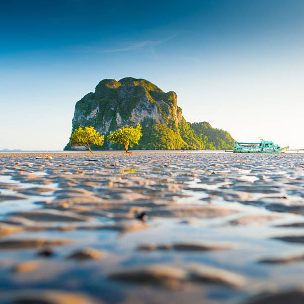 Beautiful morning at the tropical beach in asia