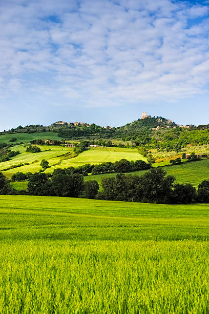 castiglione d'orcia w sprężynę, toskania, włochy - siena province zdjęcia i obrazy z banku zdjęć