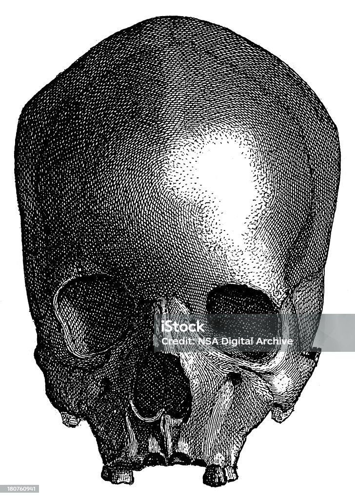 Доисторическая Череп человека (состаренное дерево гравировка) - Стоковые иллюстрации XIX век роялти-фри