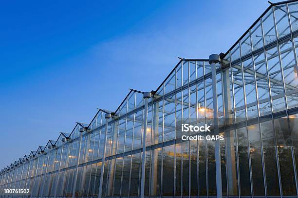 Foto de Luzes De Assimilação Em Estufa e mais fotos de stock de Agricultura - Agricultura, Crescimento, Equipamento de Iluminação