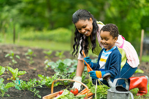 работать в саду - gardening women vegetable formal garden стоковые фото и изображения