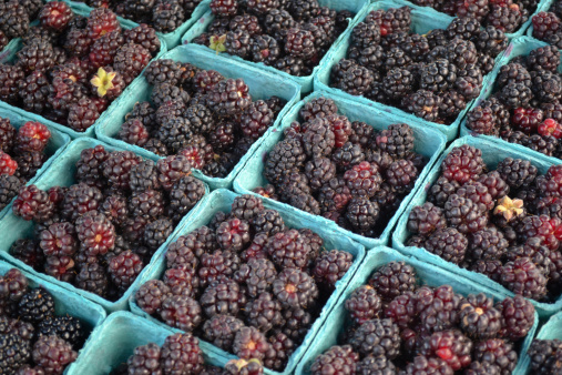 Boysenberries on sale at a farmers' market.