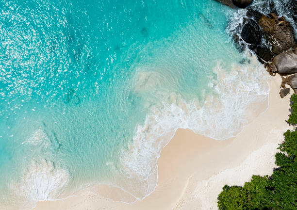 plage vague d’eau dans la plage tropicale d’été avec fond de plage de sable - 5576 photos et images de collection