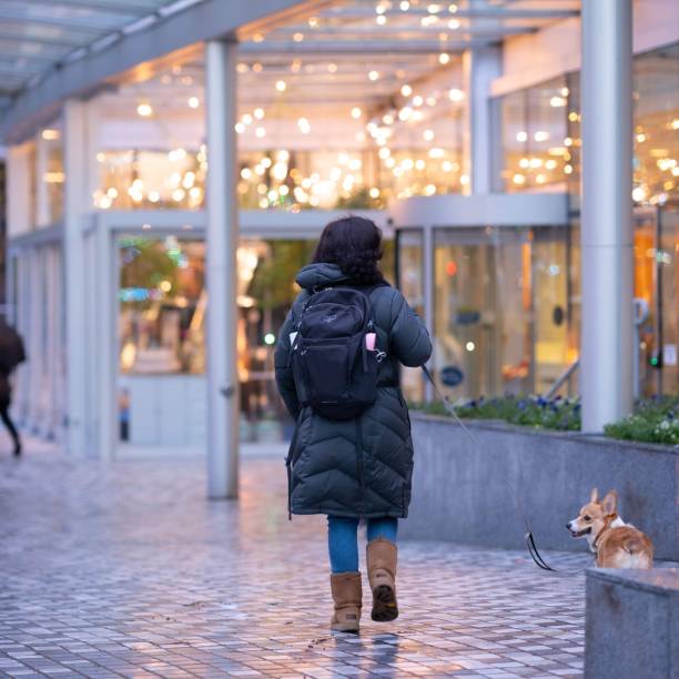 istock Urban Stroll with a Furry Friend 1807629217