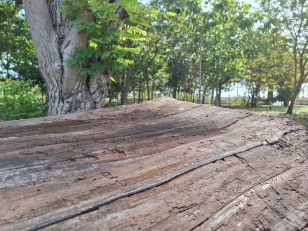 A picture of a wooden plank with cracks and a blurred view.